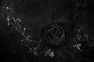 canvas-print-rose-noire