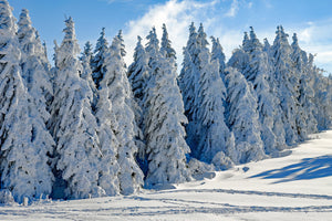 framedposter-print-beautiful-winter-landscape