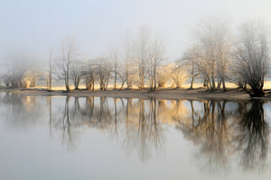 canvas-print-january-morning