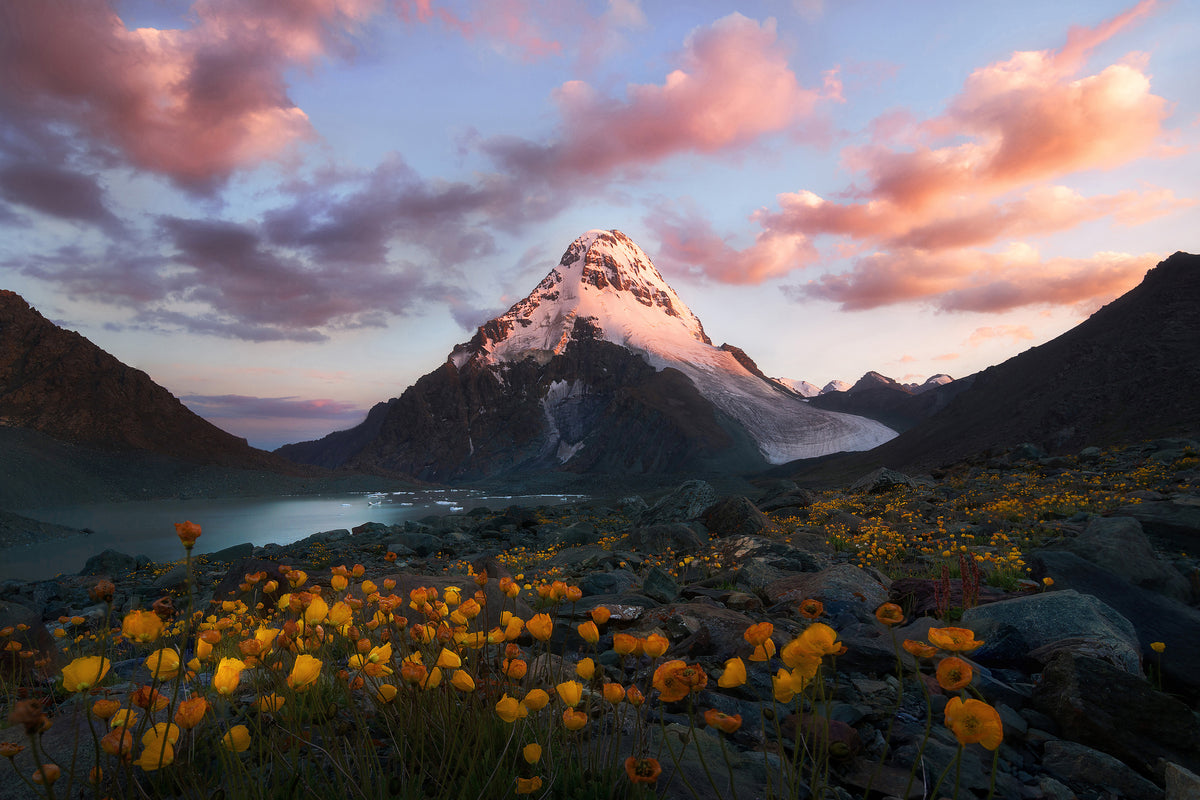 framedposter-print-snowy-peak-x