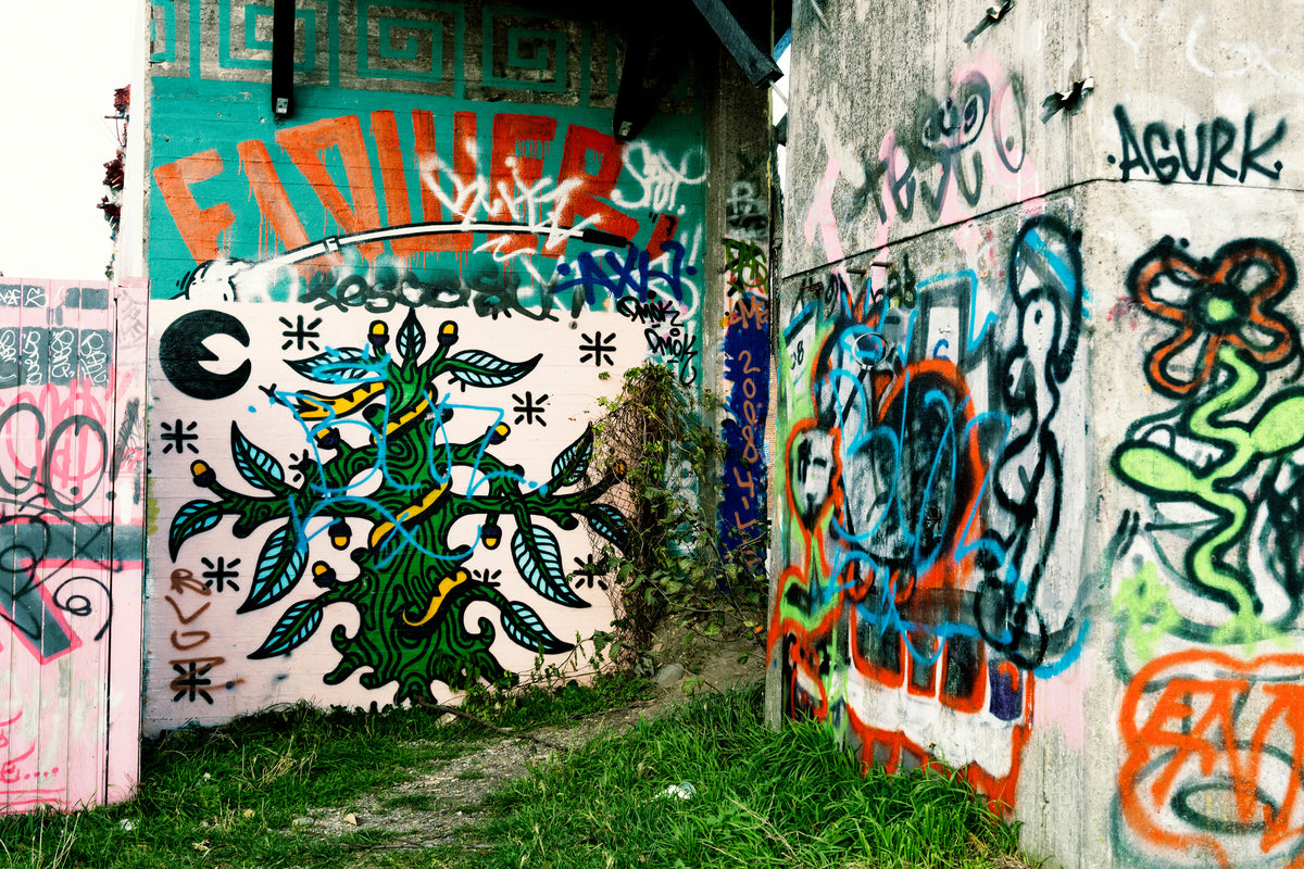 aluminium-print-graffiti-in-the-backyard