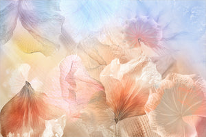 framedposter-print-ethereal-flowers-x