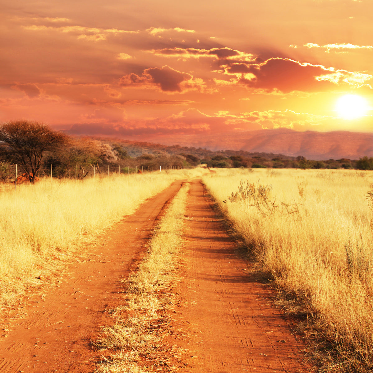 canvas-print-dusk-in-kenya