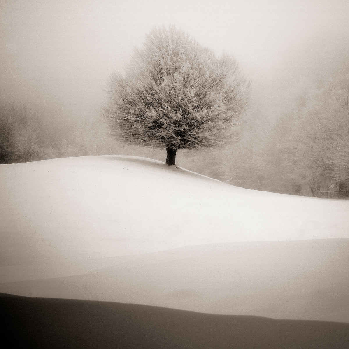 canvas-print-winter-degradee
