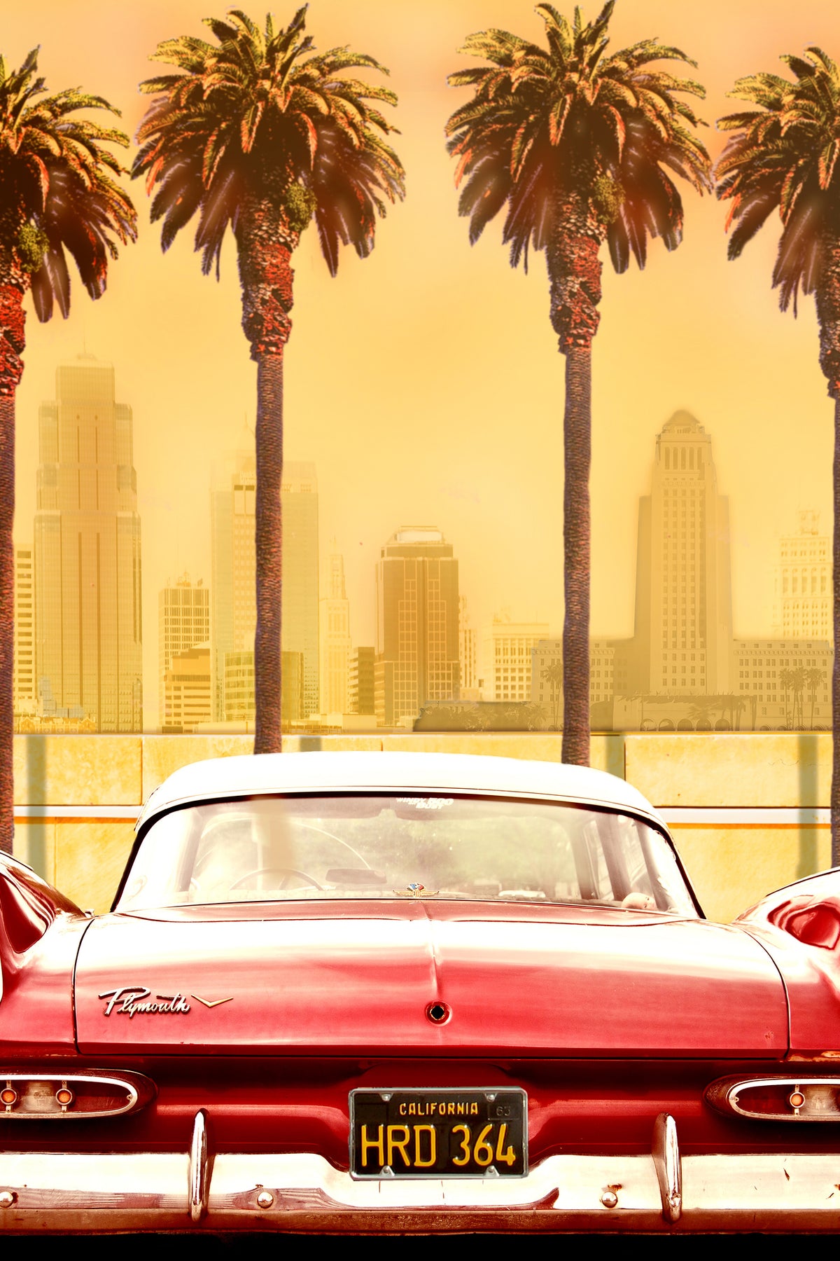 aluminium-print-plymouth-savoy-with-palms