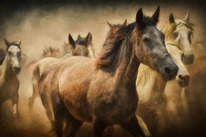 canvas-print-painting-wild-horses