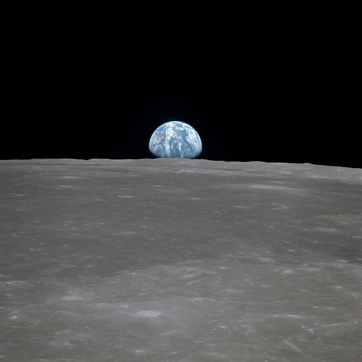 4-piece-canvas-print-wonderful-earth