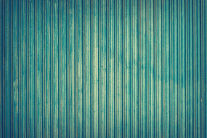 aluminium-print-strip-of-nature