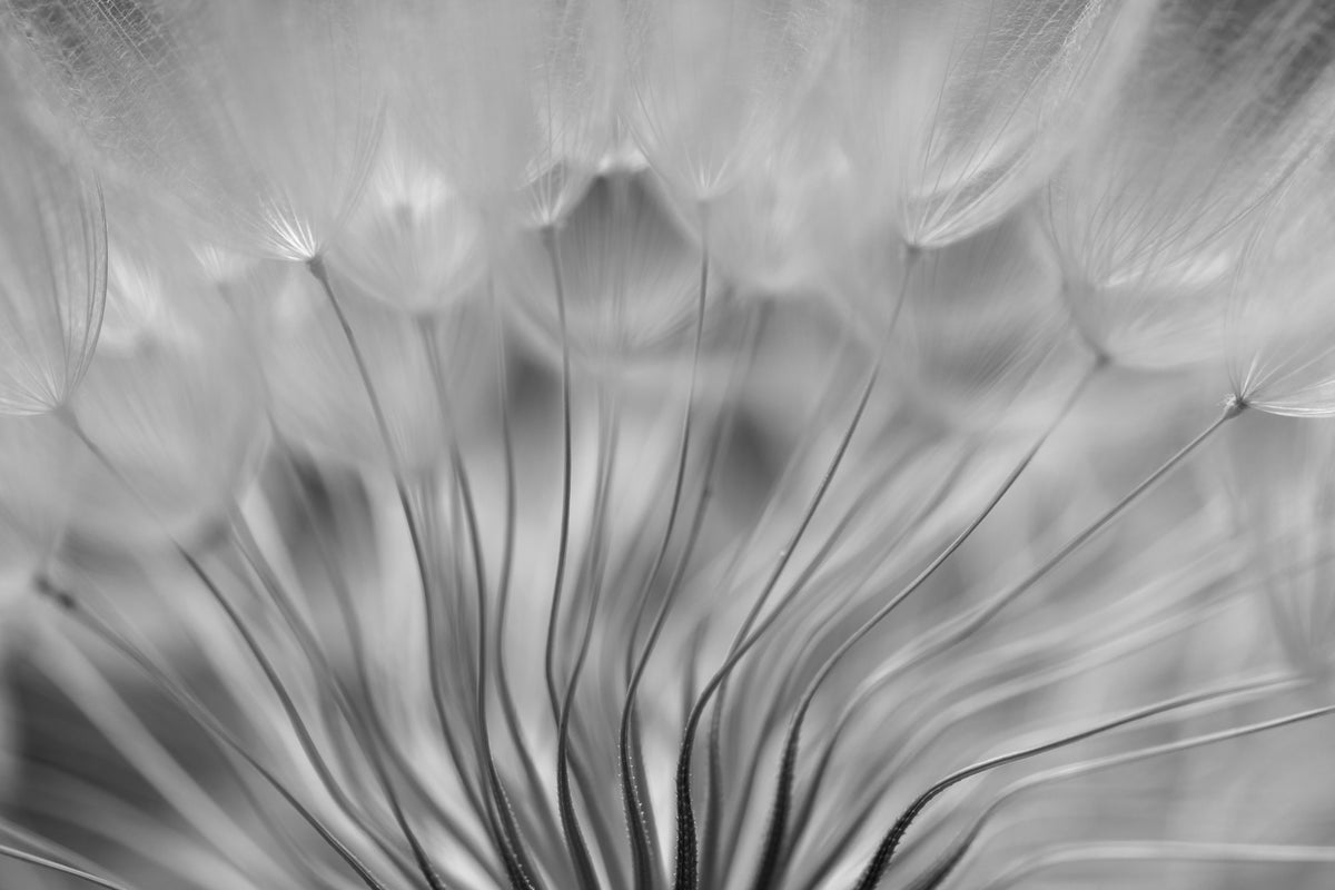 canvas-print-dream-xir