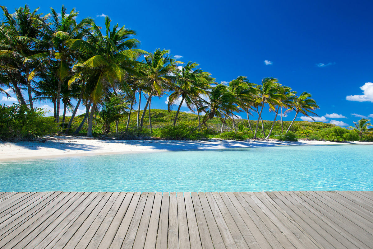 aluminium-print-beach-palms