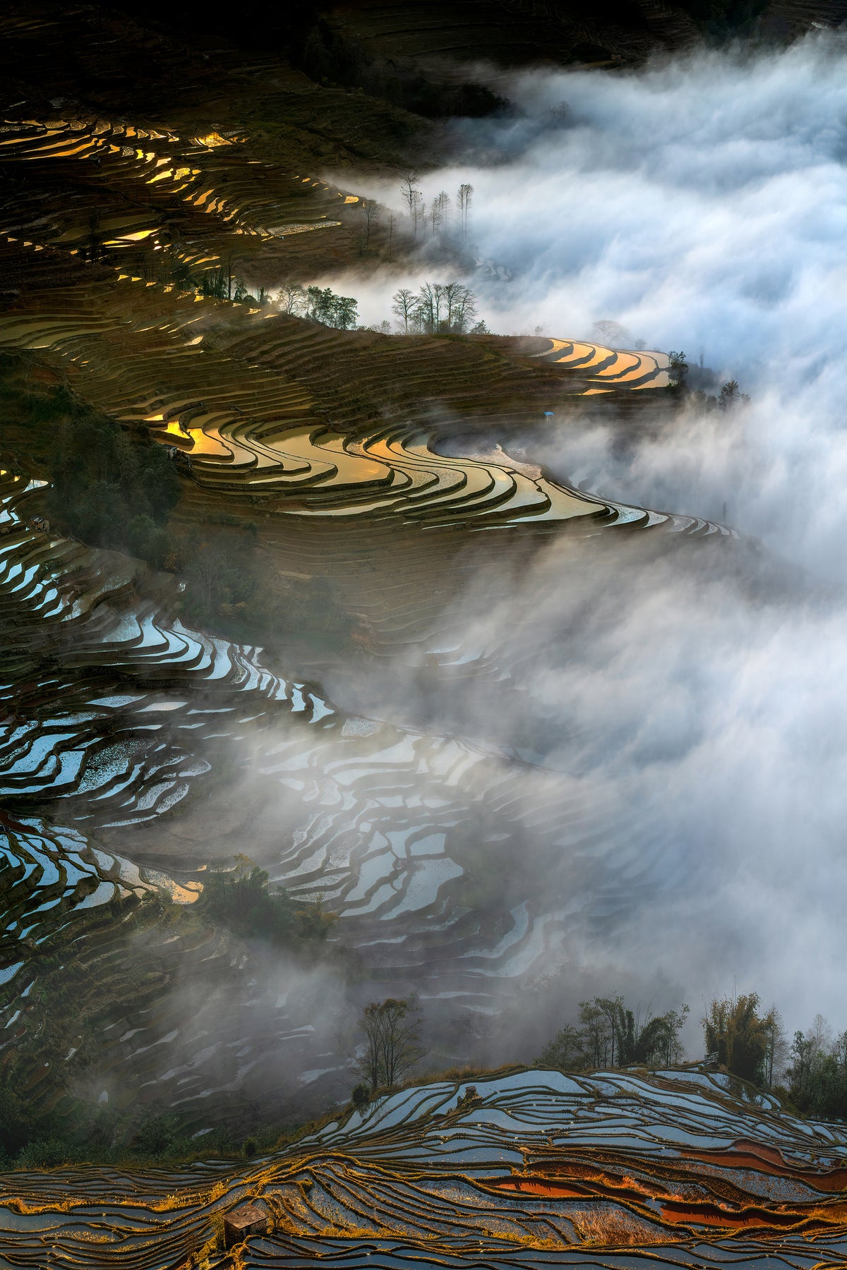 framedposter-print-colorful-rice-terraces