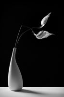 canvas-print-passionately-x