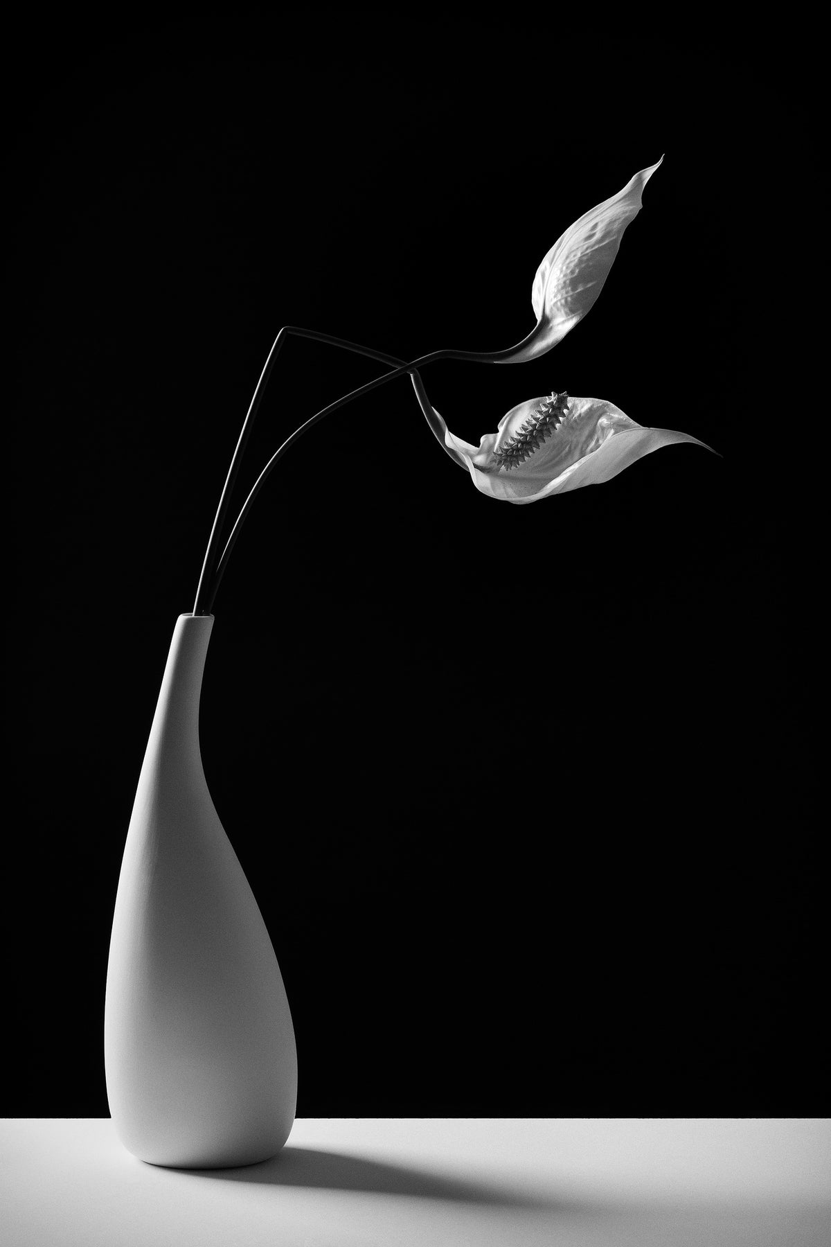 canvas-print-passionately-x