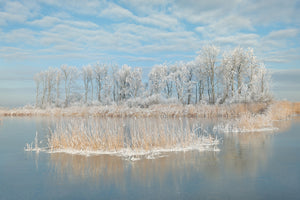 acrylic-print-winter-xfq