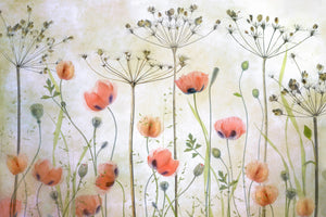 canvas-print-poppy-meadow-x