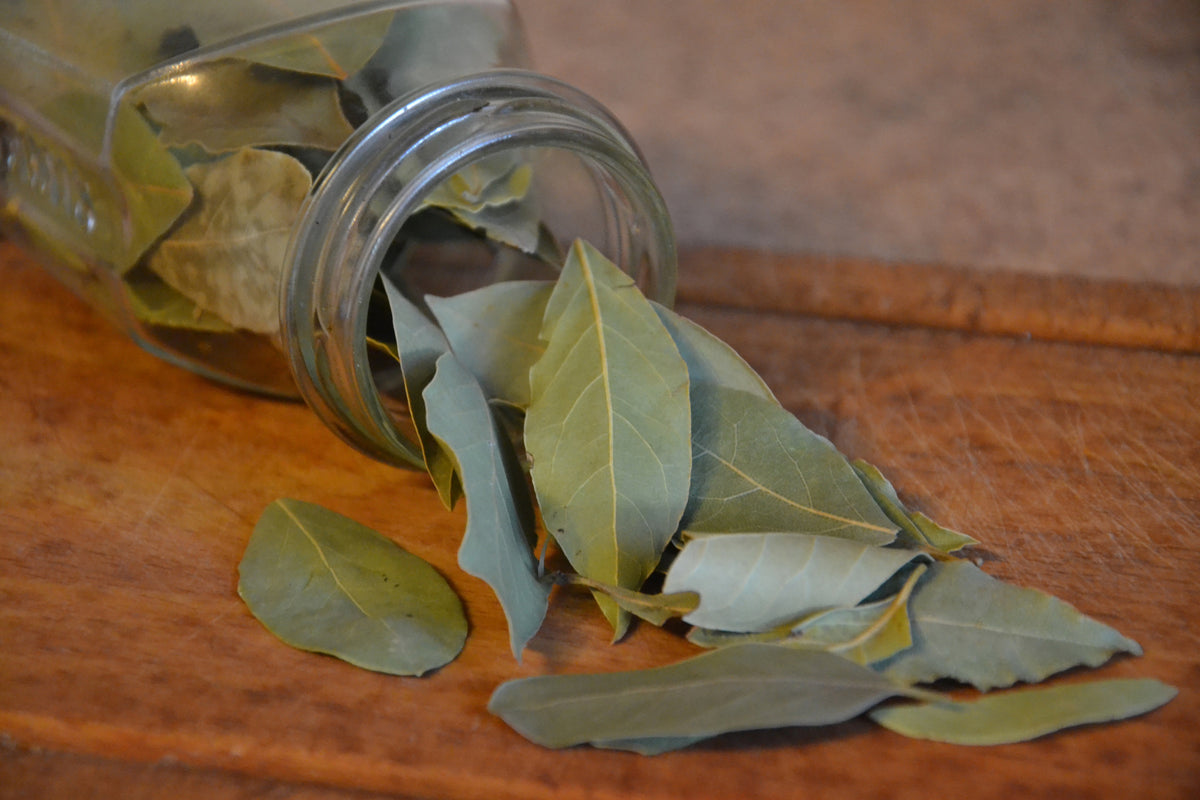 modern-3-piece-aluminium-print-bay-leaves