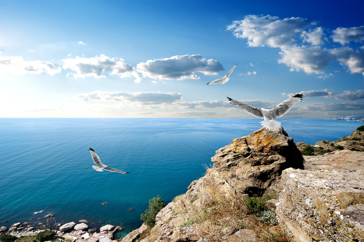 3-piece-canvas-print-the-seagulls-and-the-sea