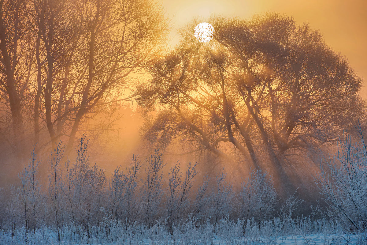 framedcanvas-print-warm-and-cold-x