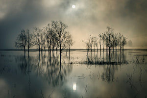 framedposter-print-lakes-secret