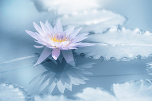 framedposter-print-reflection-xbu
