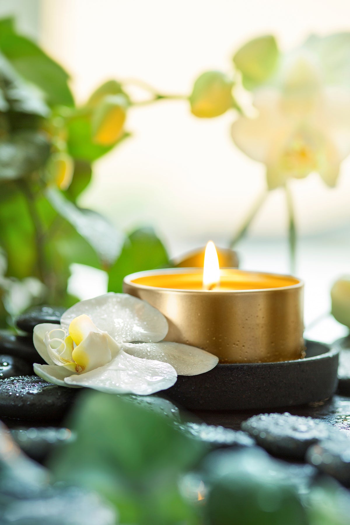 aluminium-print-zen-orchid-and-candle