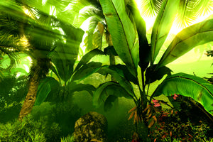 aluminium-print-sunrise-in-the-rainforest