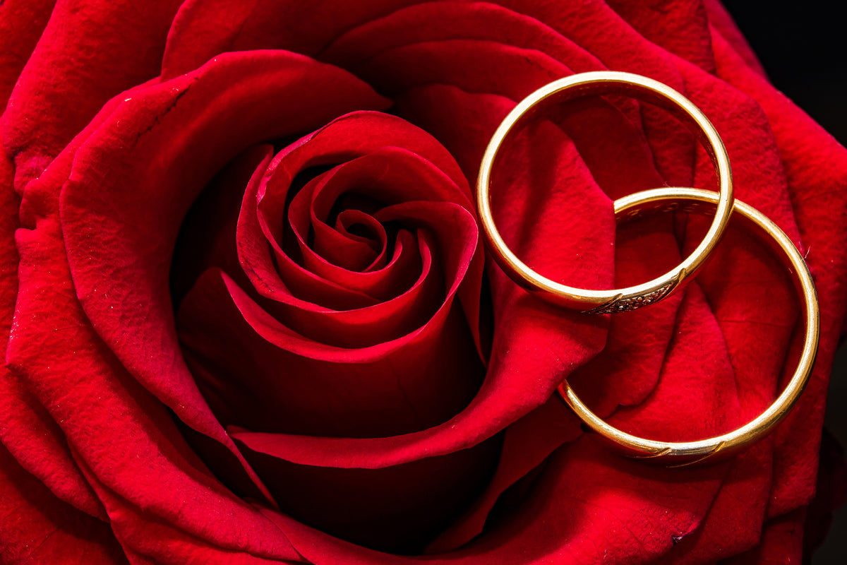 3-piece-aluminium-print-wedding-rings-on-the-rose