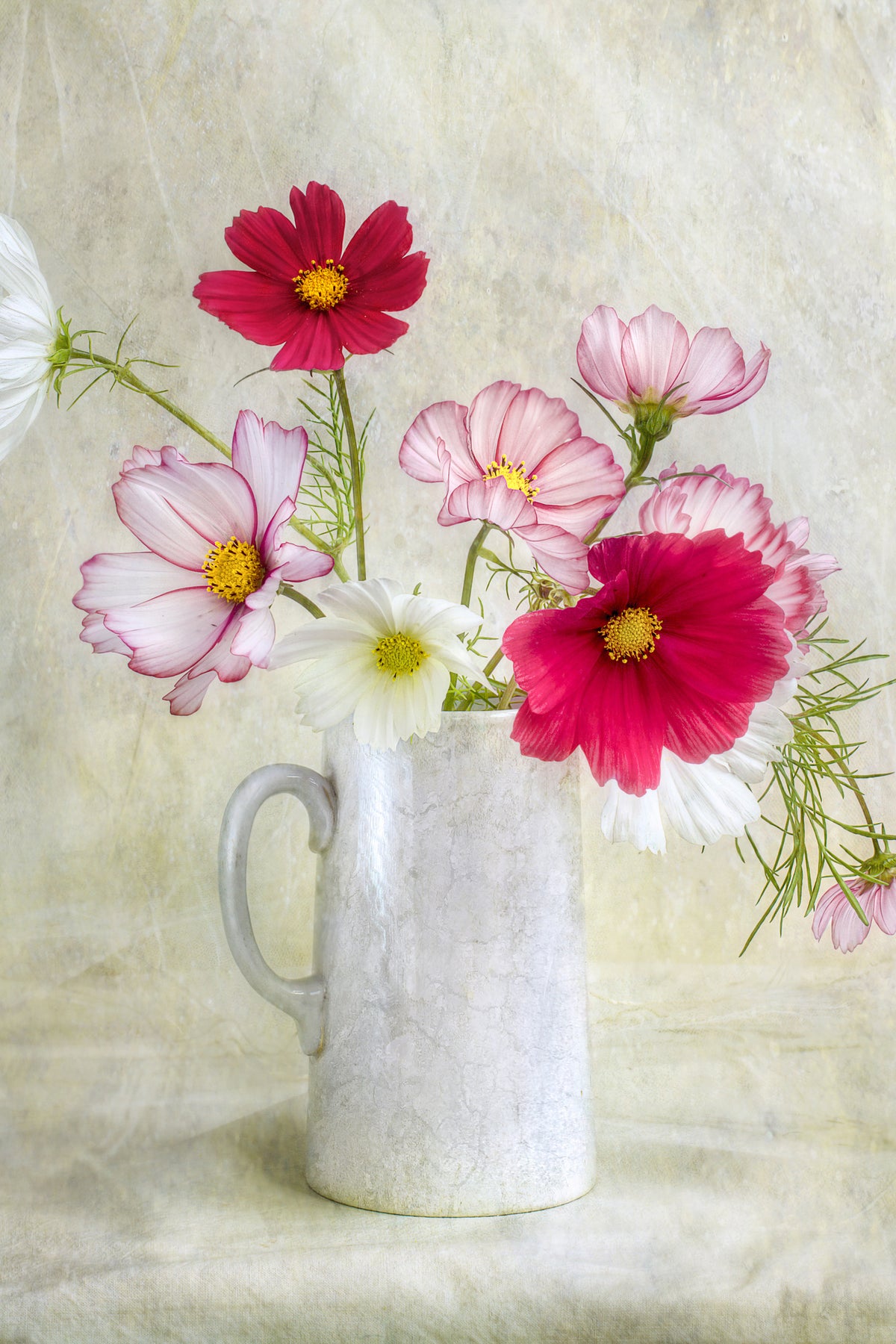 acrylic-print-cosmos-carnival