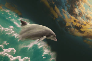 framedcanvas-print-fascination-dolphin