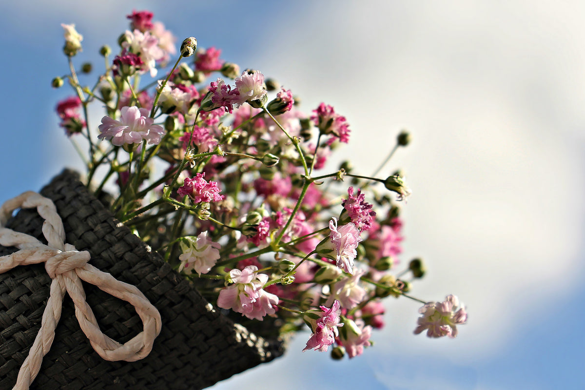 modern-3-piece-aluminium-print-the-gypsophila