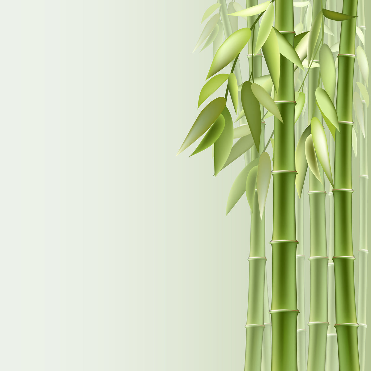 9-piece-acrylic-print-green-bamboo