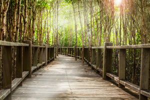 3-piece-acrylic-print-wooden-bridge