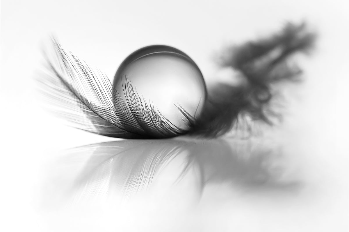 aluminium-print-lightness-x