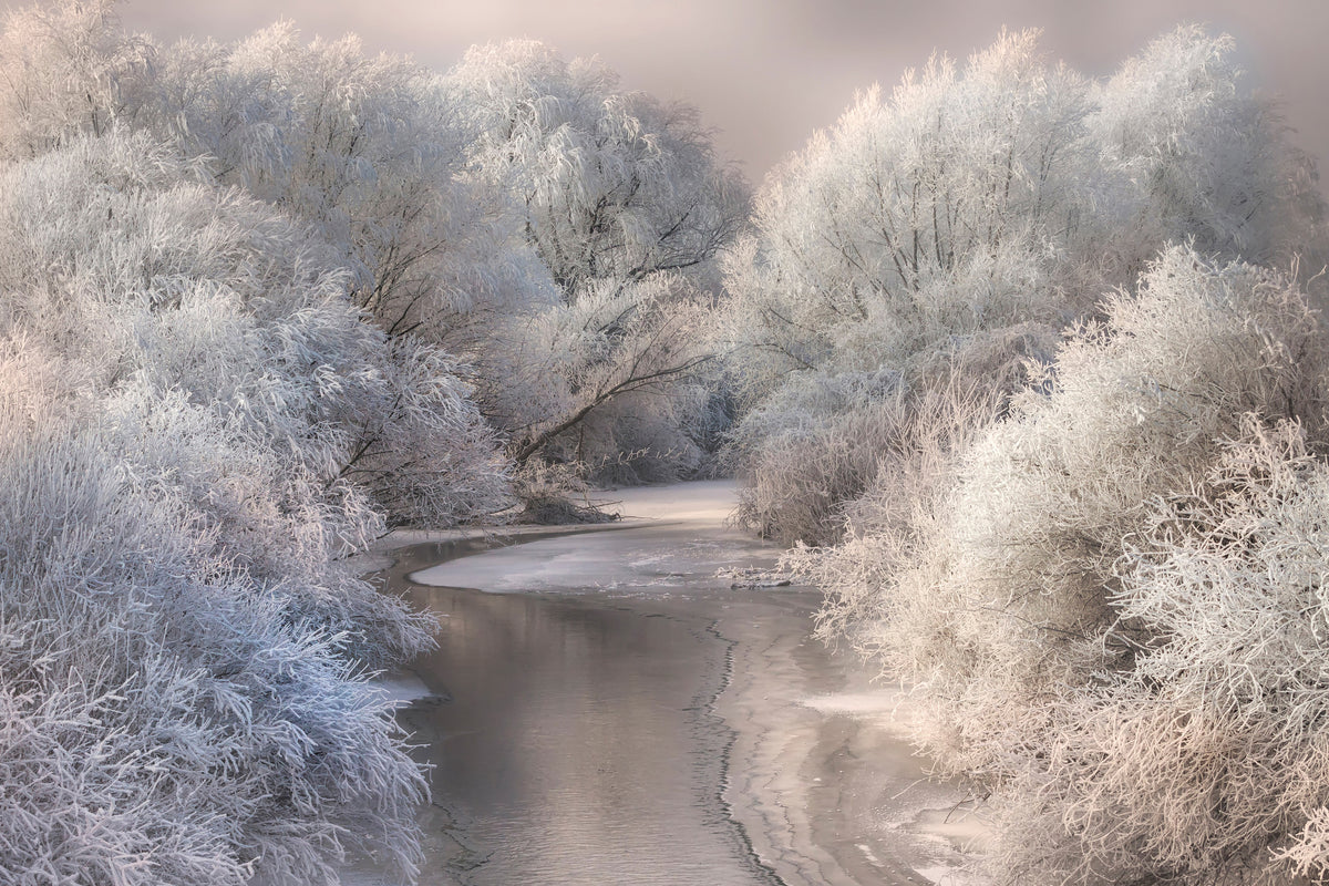 canvas-print-winter-song-x