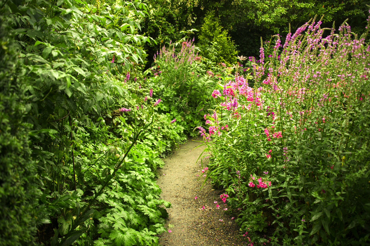 3-piece-canvas-print-garden-path