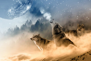 acrylic-print-the-world-of-wolves