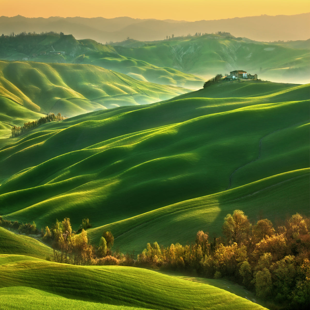 4-piece-aluminium-print-mucigliani