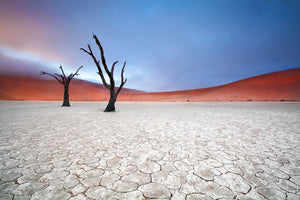 framedcanvas-print-mist-over-deadvlei-x