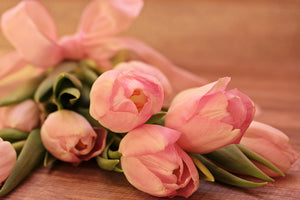 poster-print-romantic-tulip-bouquet