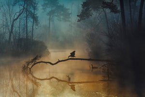 canvas-print-blue-hour-xqf