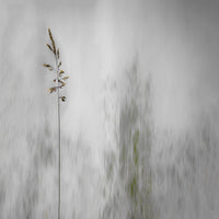 9-piece-canvas-print-blade-of-grass