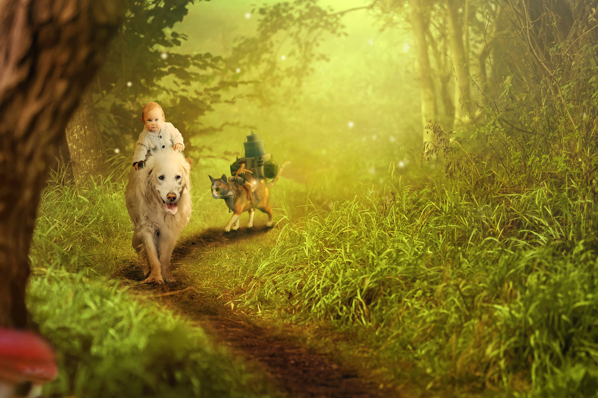 framedposter-print-forest-excursion