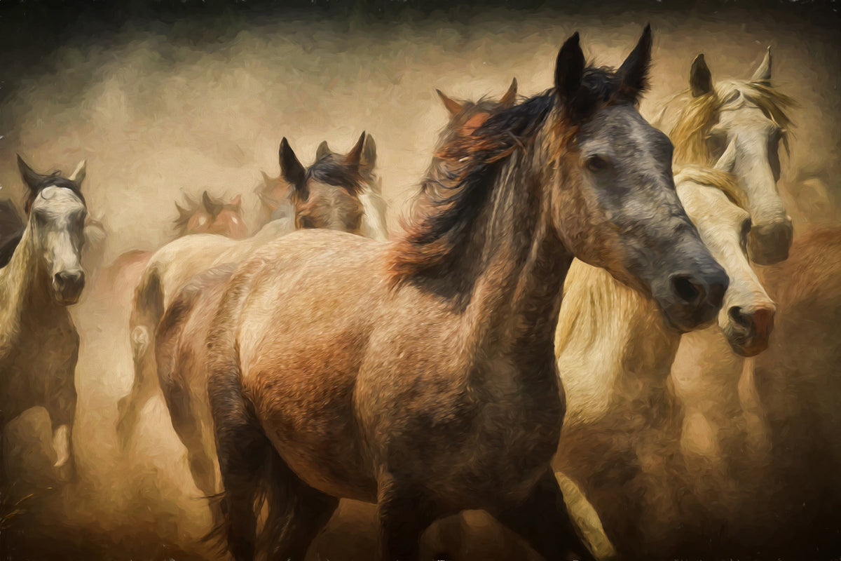 acrylic-print-painting-wild-horses