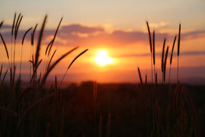 framedposter-print-adorable-sunset