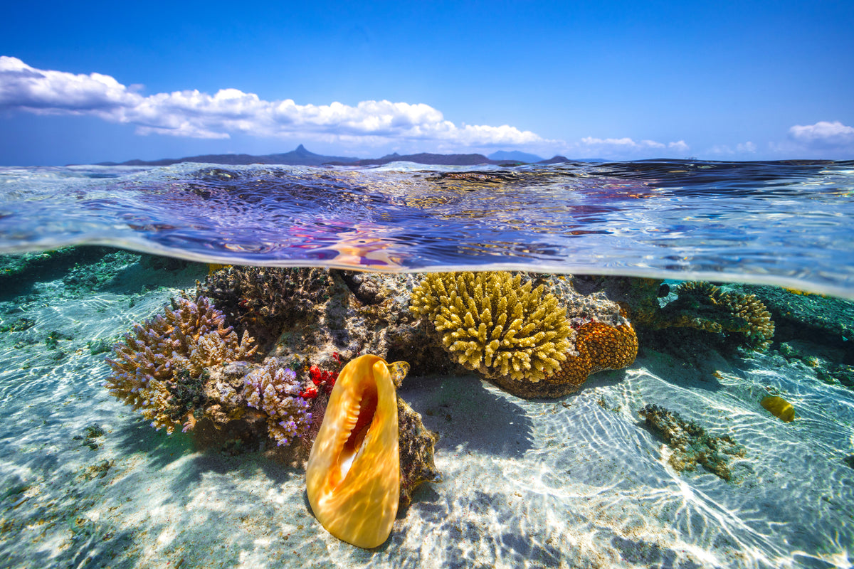 modern-3-piece-canvas-print-lagoon-life