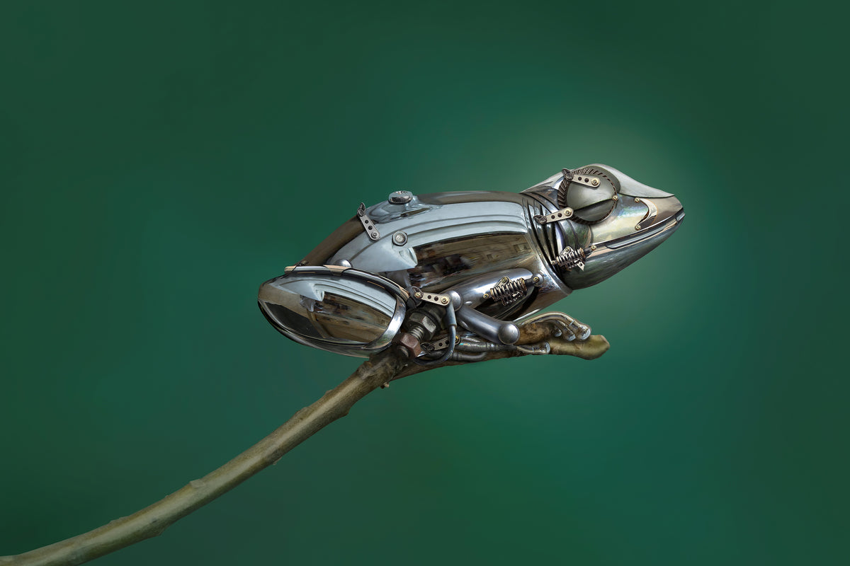 framedcanvas-print-frog