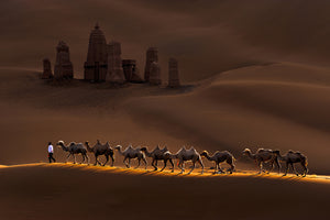 modern-3-piece-canvas-print-castle-and-camels