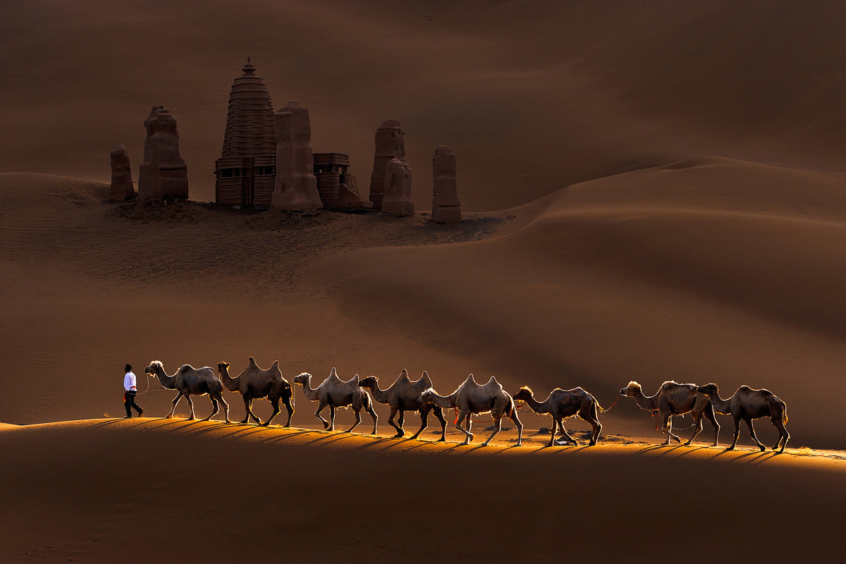 modern-3-piece-canvas-print-castle-and-camels