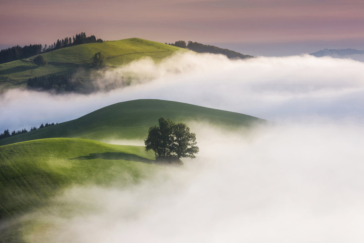 aluminium-print-green-hills-x