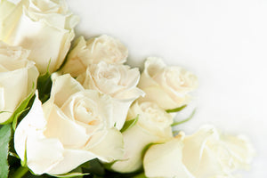 acrylic-print-white-roses